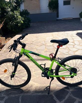 Bicicletta ragazzo 10-13 anni