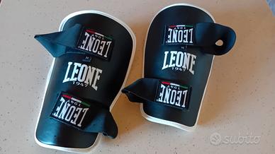 Paratibie Leone M