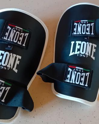 Paratibie Leone M