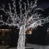 1000 Luci Led Albero di Natale