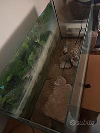 Acquario per tartarughe