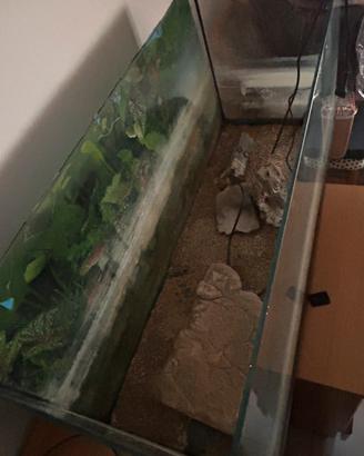 Acquario per tartarughe