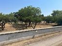 terreno-residenziale-leporano
