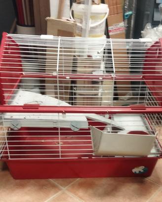 Gabbia x coniglio