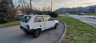 fiat panda 1000 fire
