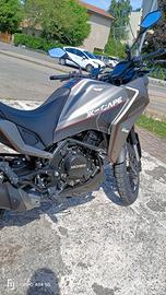 Morini xcape649
