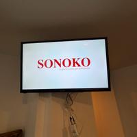 Televisione SONOKO (pezzi disponibili 2, uguali)