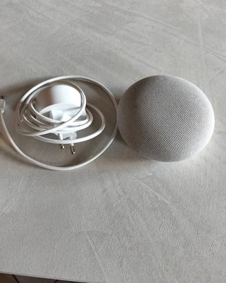 Google Nest Mini 2a Generazione 