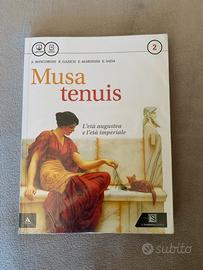 Musa tenuis 2