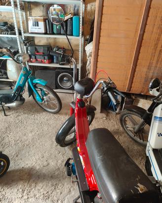 piaggio sì e ciao 