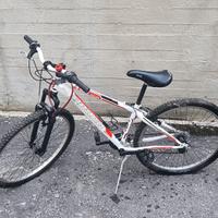 bicicletta KS Cycling Evolution