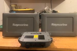 Ecoscandagli raymarine+DSM 300