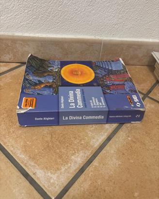 Libro la divina commedia