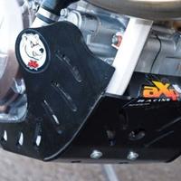 Paramotore AXP