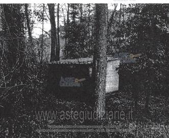 Terreno Agricolo Camaiore [A4315613]