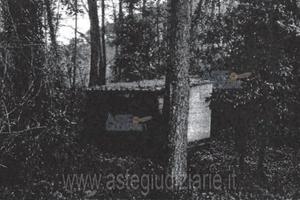 Terreno Agricolo Camaiore [A4315613]