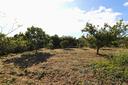 terreno-non-edificabile-in-zona-mare