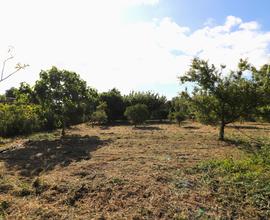 Terreno non edificabile in zona mare