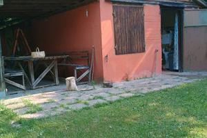 Terreno agricolo con casetta