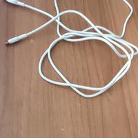 Caricabatterie per iphone + auricolari