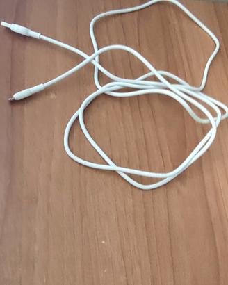 Caricabatterie per iphone + auricolari