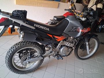 honda dominator 