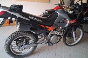 honda dominator 