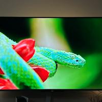 TV TCL 55” 4k HDR QLED