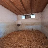 Azienda con maneggio Siena