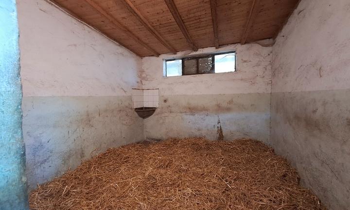 Azienda con maneggio Siena