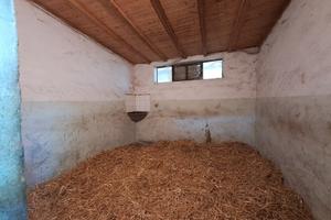 Azienda con maneggio Siena