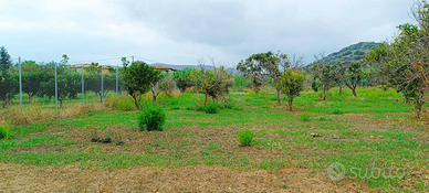 Terreno fertile Tortolì