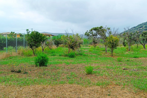 Terreno fertile Tortolì