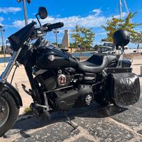 Harley davidson fat bob