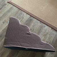 Scaletta per caniBacaji