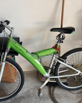 Bici Prininfarina verde