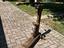 Immagine 5