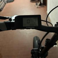 bicicletta elettrica Argenti Bimax