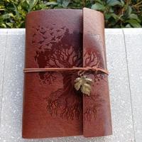 Erbario scritto a mano