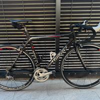 Bici corsa carbonio wilier triestina