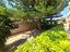 Immagine 29