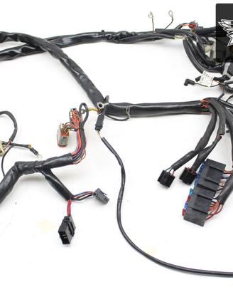 Cablaggio iniezione Harley Davidson FLHX Street G.