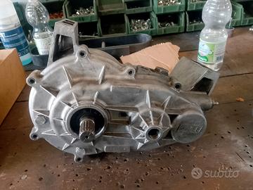 cambio invertitore, Ligier/microcar revisionato