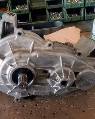 cambio invertitore, Ligier/microcar revisionato