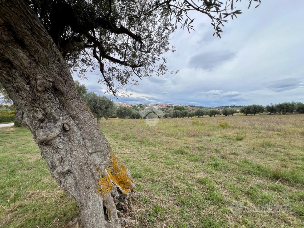 TER. AGRICOLO A MOSCIANO SANT'ANGELO - Vista 4