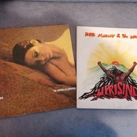 dischi 33 giri vinile 