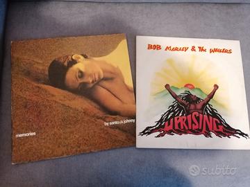 dischi 33 giri vinile 