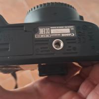 canon 100d