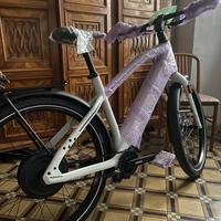 Bici elettrica