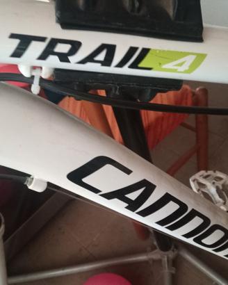 bicicletta cannondale taglia 29 